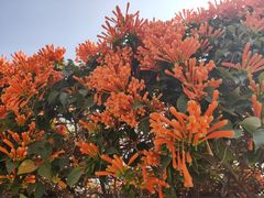 -中国移动南方基地