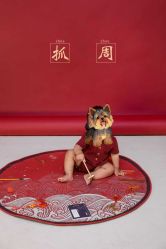 -婴爱儿童摄影 BabyloveStudio(中山门店)