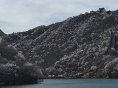 -遇见小院—虹鳟鱼•农家菜(怀柔店)