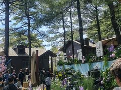 -秦岭天竺山生态文化旅游景区
