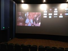 -汉阳天河电影城(王家湾店)