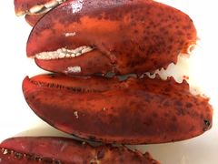 波士顿龙虾-盒马鲜生(皇庭广场店)