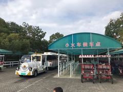 -上海海湾国家森林公园