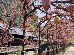 -车溪民俗旅游区