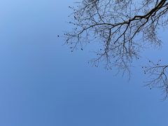 -桔子酒店(上海西藏北路地铁站店)