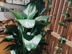 -木屋烧烤(Ipark店)