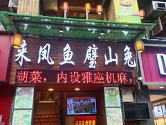 -正宗来凤鱼璧山兔(花卉园店)