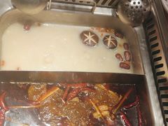 美蛙鸳鸯锅-重庆高老九火锅(文峰广场店)
