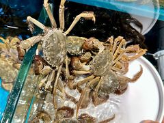 -苏格里岛自助烤肉海鲜火锅(成都金牛万达店)