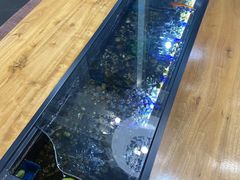-红糖水都·女生特炖·中式滋补炖(北辰店)