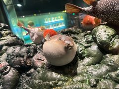 -天津自然博物馆
