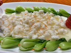 -品味居·首店·大连鲜活海鲜大连菜(东港店)