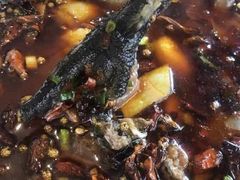 -黑竹香鸡(营和巷店)