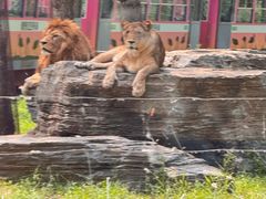 -秦皇岛野生动物园