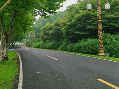 -宜兴龙背山森林公园