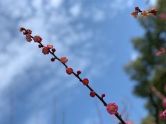 -莘庄公园
