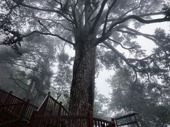 -终南山南五台景区