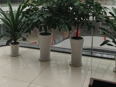 -偶屋里钵少爷(时代广场店)