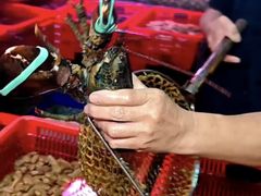 -巽寮印象美食部落餐厅·海鲜·地方特色菜(惠州体验店)