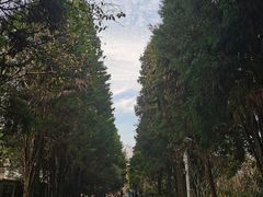 -扬州市茱萸湾风景区