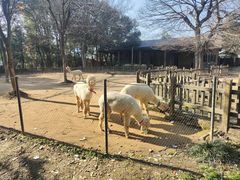 -南昌动物园