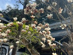 -瑞凤殿(Grave of Date Masamune)