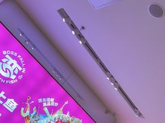 -老板恋上鱼(恒隆广场店)