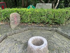 -上海佘山国家森林公园天马山园