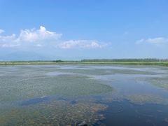 -野鸭湖国家湿地公园