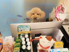 -小尾巴宠物店(万科·金域华庭店)