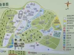 -广东茂名森林公园