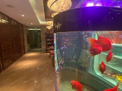 -岭南故事·影院足道SPA·石岐店