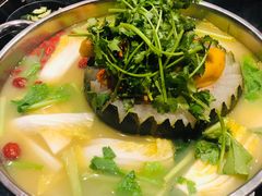 -大红袍火锅料理(尖沙咀店)