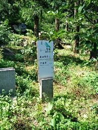 指示牌-北京鹫峰国家森林公园