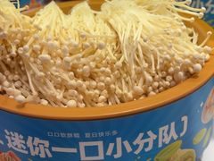 -龍歌自助小火锅(崂山丽达店)