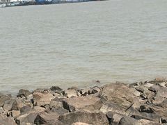 -吴淞炮台湾湿地森林公园烧烤区