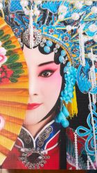 -胭脂猫京剧摄影