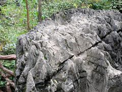 -梭布垭石林景区