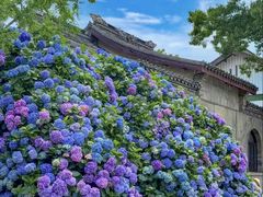 -无锡蠡湖国家湿地公园-蠡园