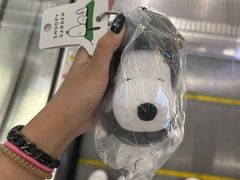 -新罗免税店(济州店)