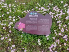 -洋湖国家湿地公园