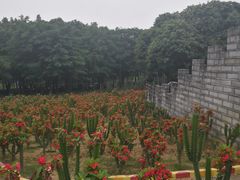 -松山湖梦幻百花洲