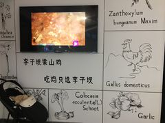 -李子坝梁山鸡(北碚万达五鸡哥店)
