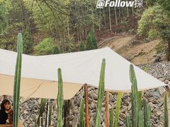 -MOJ coffee(瓯海泽雅水碓坑店)