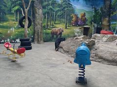 -鄂尔多斯野生动物园