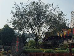 -泸州老窖景区