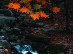 -九如山休闲旅游度假区