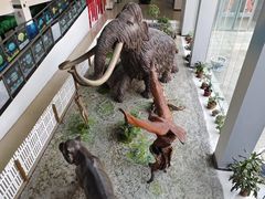 -中国第四纪冰川遗迹陈列馆