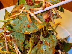 -雀舞云南菜(天津天河城购物中心店)