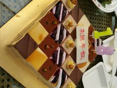 -维尔纳斯·生日蛋糕动物奶油冰淇淋蛋糕(人大店)